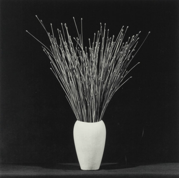 Flower, 1983