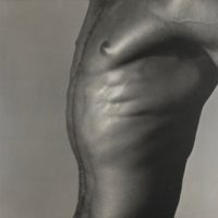 Torso, 1980