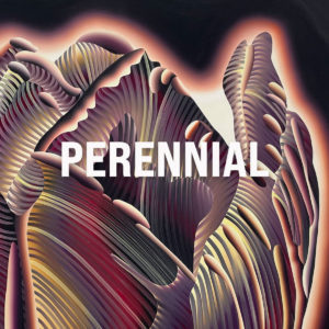 LAURA GARCIA KARRAS — PERENNIAL