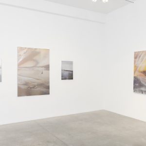 Arthur Hoffmann, Inner Landscapes, vue d’exposition, Galerie Bertrand Grimont, Paris, France, 2024. © Loïc Madec